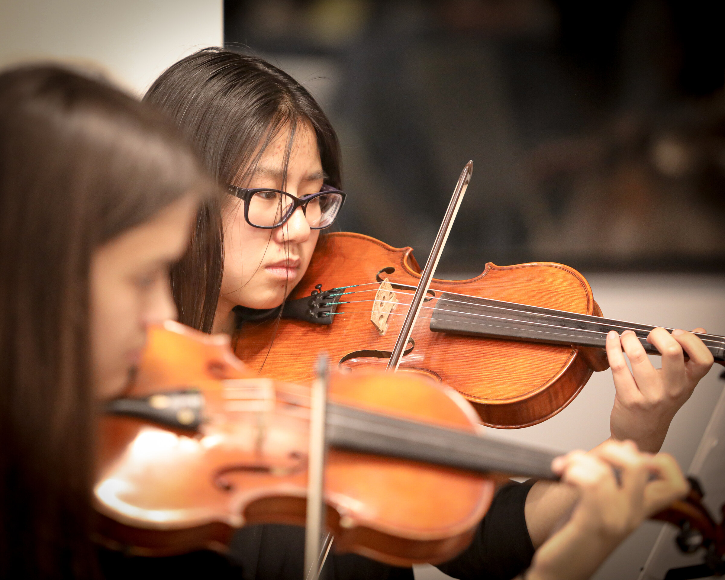 A violinist performs at a legislative open house