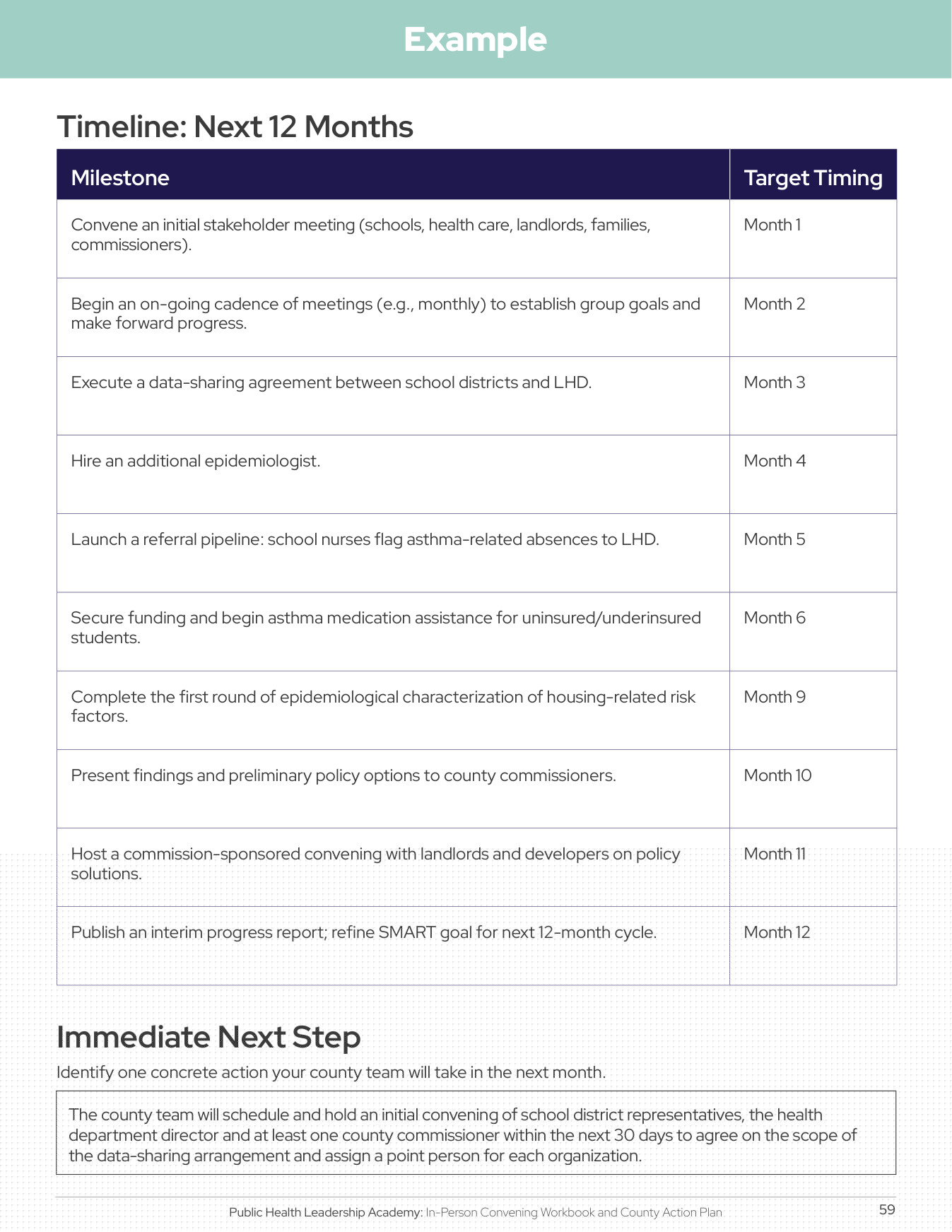 County Action Plan timeline worksheet
